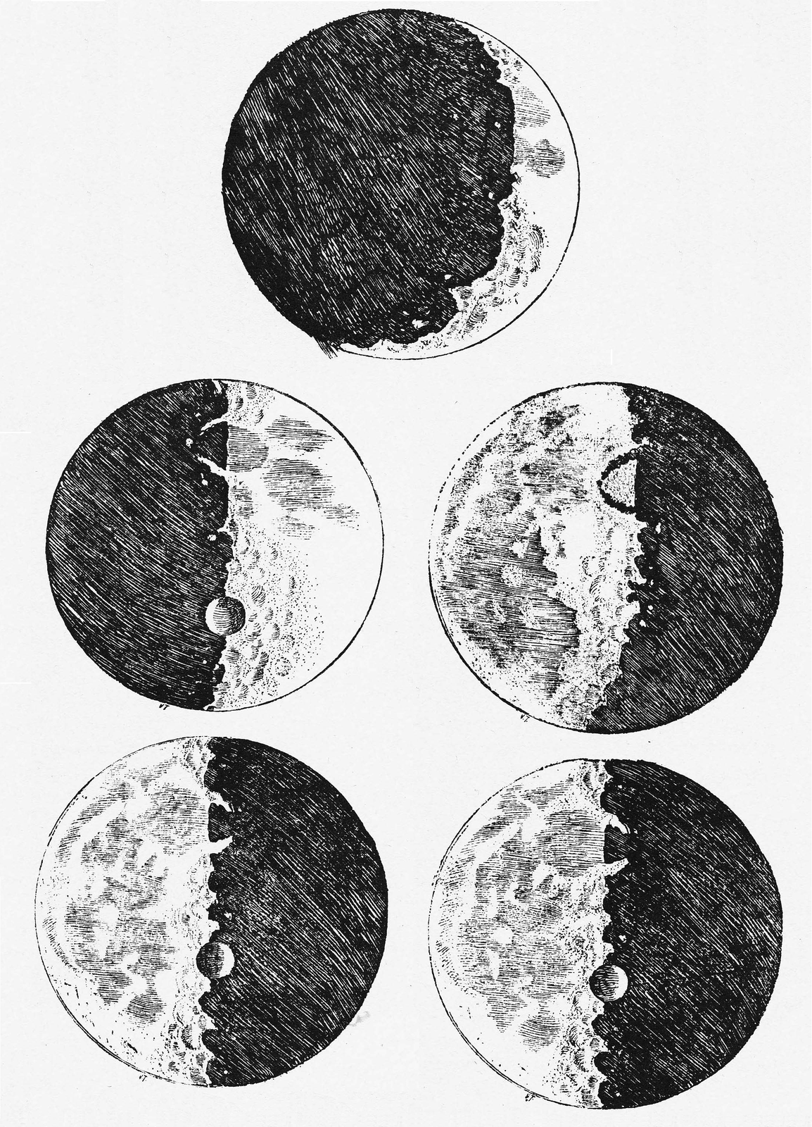 Five engravings of the Moon at different phases, in dense black hatching on white. In each one the line dividing the lit part from the dark is not a smooth curve but ragged and broken, with bright points standing out into the darkness and dark bays cutting into the light. Craters are drawn as ringed hollows, one of them very large near the terminator.
