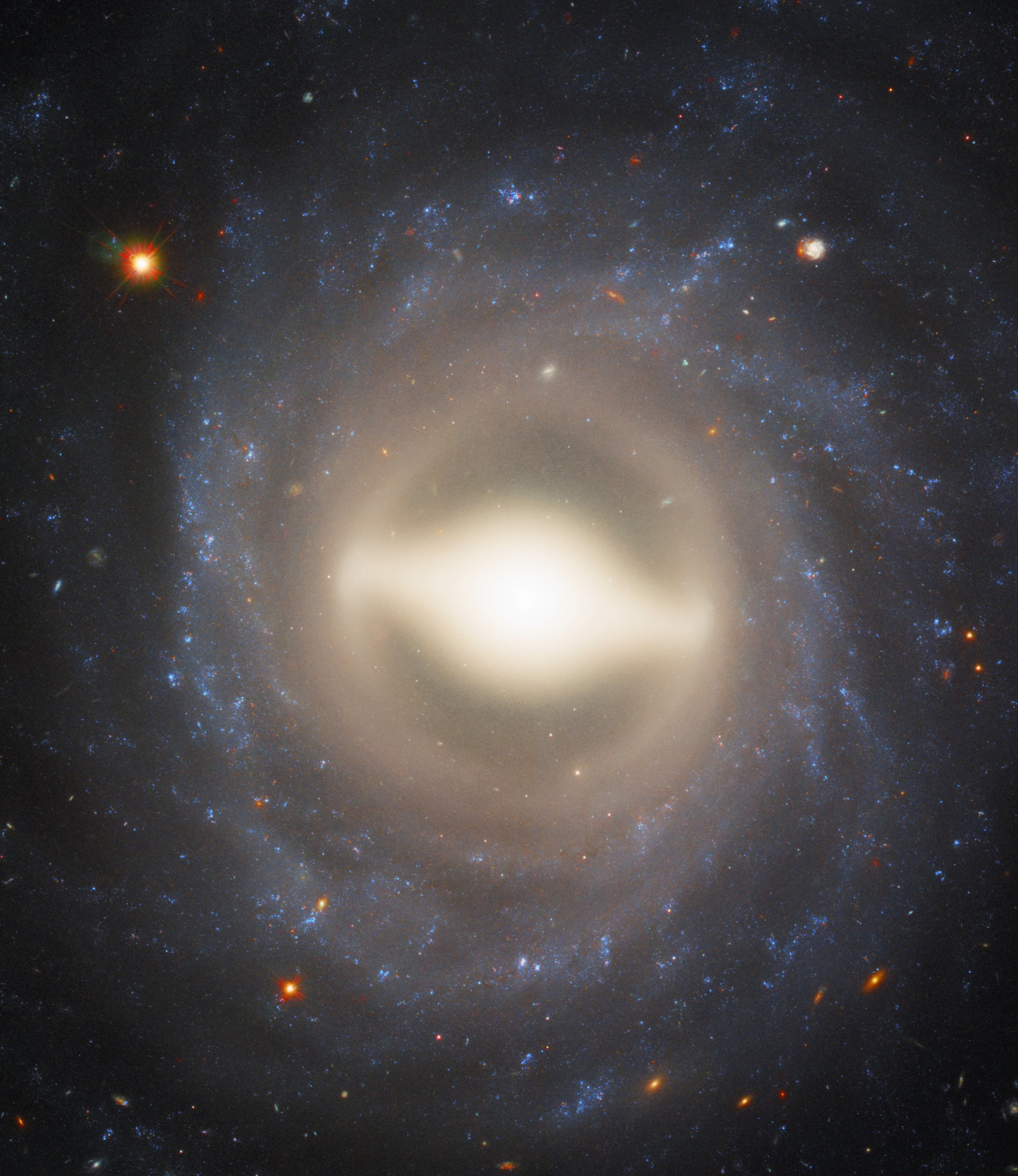 Spirals and supernovae
